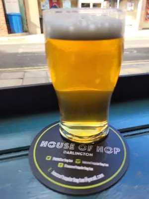danlo's photo of Golden Duck