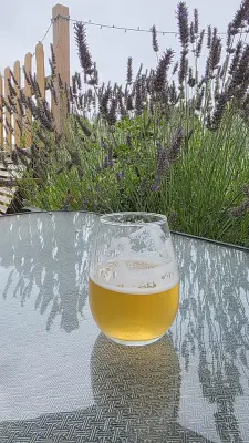 BeerPlace's photo of The Celebratory Blend