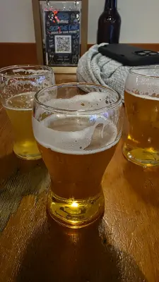 BeerPlace's photo of Bull of the Woods