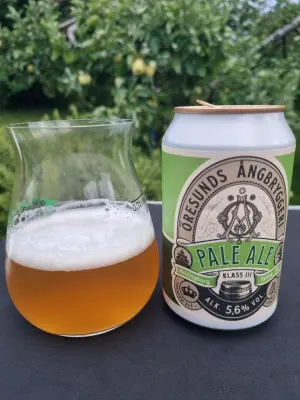 Arsol's photo of Pale Ale