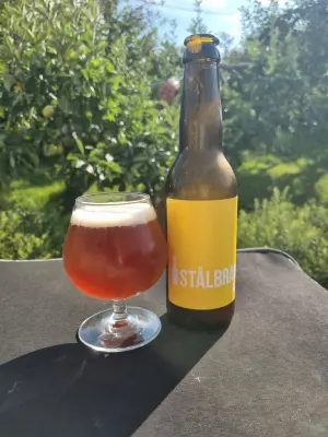 Arsol's photo of Stålbrands Ale