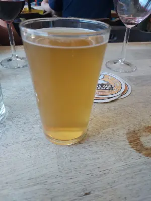 LordAlwold1970's photo of Single Hopped Pale - Citra #2