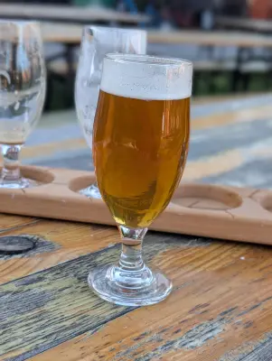 Synny's photo of Herregaards IPA