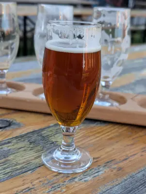Synny's photo of Belgian Dubbel
