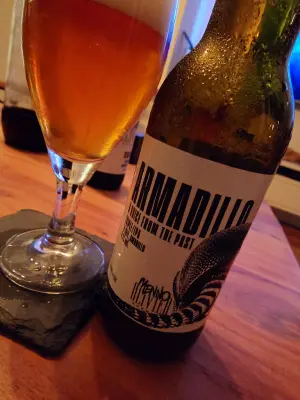 TomHendriksen's photo of Armadillo