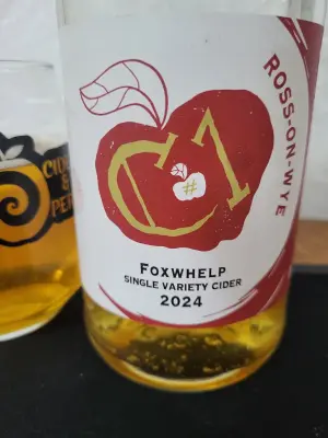 danlo's photo of C1 Foxwhelp SVC 2024