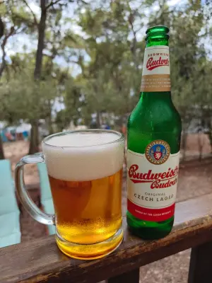 Armano's photo of Original Czech Lager