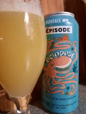 Metalchopz's photo of Octopode