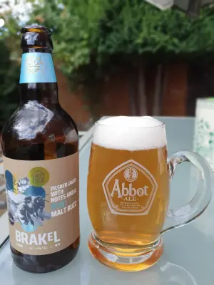 BlackHaddock's photo of Brakel