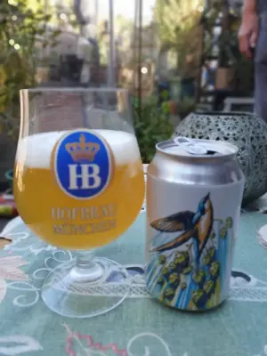 BlackHaddock's photo of Swift Haze