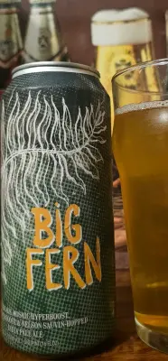 drpimento's photo of Big Fern