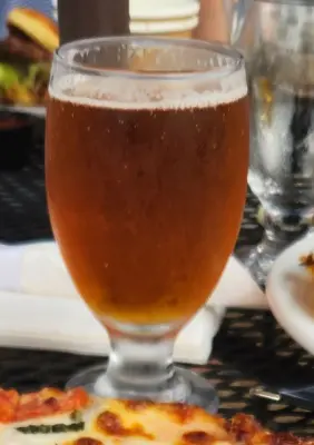theisti's photo of Full Nelson Pale Ale