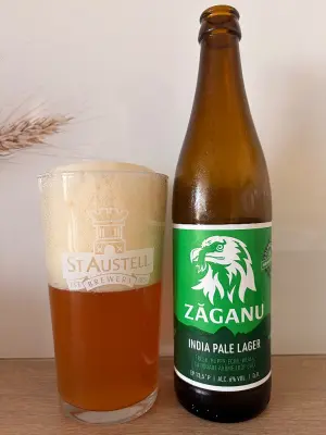 Kita's photo of India Pale Lager