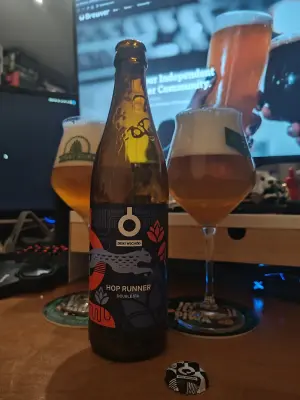 Faalagorn's photo of Hop Runner