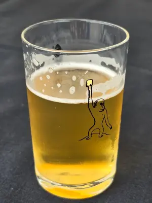 anchr's photo of Annafest Festbier