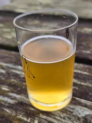anchr's photo of Yuzu Tripel