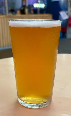 jimgreen's photo of Jandals & Togs - Super Session Pale Ale