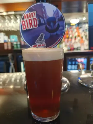 BlackHaddock's photo of Angry Bird