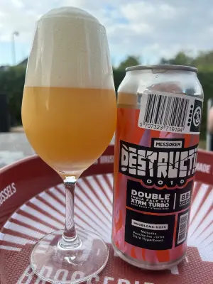 Dedollewaitor's photo of Destructio 0010