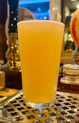 jimgreen's photo of DDH Pale - Citra