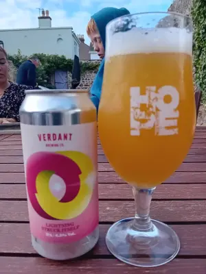 jerseyislandbeer's photo of Lightning Struck Itself