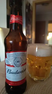 mkcmagico's photo of Budweiser