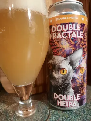 Metalchopz's photo of Double Fractale