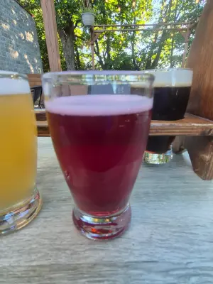 Lubiere's photo of Copernic