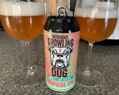 RuneBlix's photo of Growling Dog - Tropical IPA