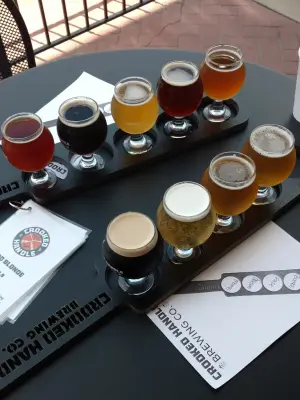 Dogbrick's photo of Short Fuze IPA