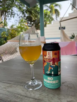 CraftBeerNick's photo of No Worries!