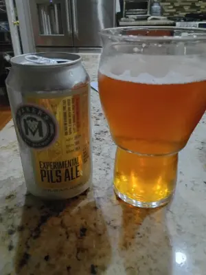 solidfunk's photo of Experimental Pils Ale