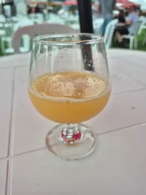 Lubiere's photo of TROPICALIA