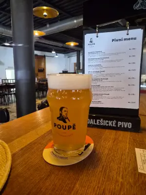 Goldbarren's photo of Rye IPA 13%