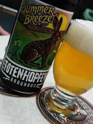 TomHendriksen's photo of Summer Breeze