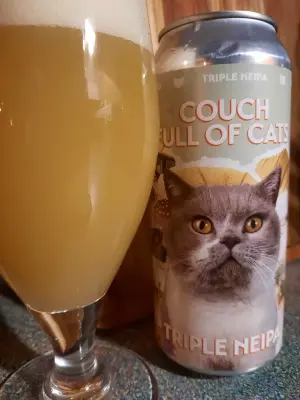 Metalchopz's photo of Couch Full of Cats