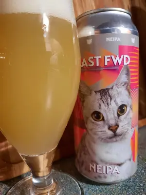 Metalchopz's photo of Fast FWD
