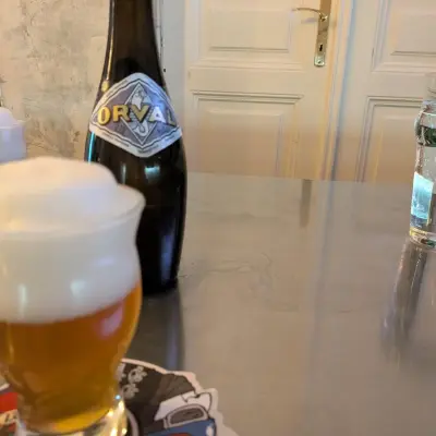 adam_vosahlik's photo of Orval (2025)