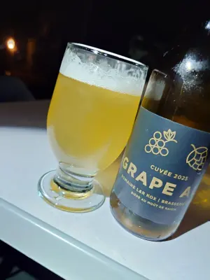 TomHendriksen's photo of Grape Ale Cuvee 2025