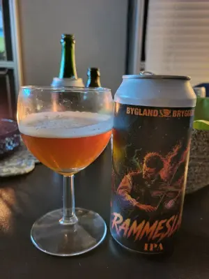 Arsol's photo of Rammeslag