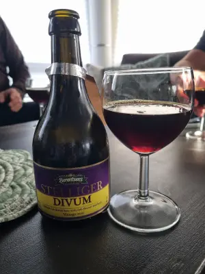 Arsol's photo of Stelliger Divum 2021