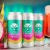 Bearded Iris Brewing 1738 Flamingo Road