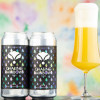 Bearded Iris Brewing Chasing Rainbows (07) Seven