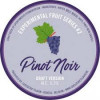 Gueuzerie Tilquin Experimental Fruit Series #2 - Pinot Noir - Draft Version