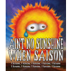 Odd Side Ales Ain't No Sunshine When Saison