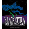 Odd Side Ales Black Citra