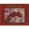 Brasserie Cantillon Groseille