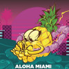 J. Wakefield Brewing Aloha Miami