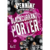 Pennine Brewing Co. Blackcurrant Porter