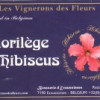 Scåssenes (previously Ecaussinnes) Les Vignerons des Fleurs - Florilège d'Hibiscus